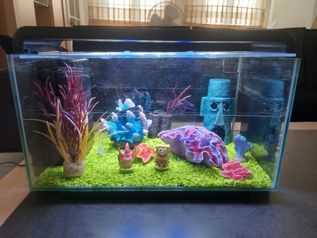 Glazen agariumset met letlamp  te koop, Divers, Enlèvement, Comme neuf