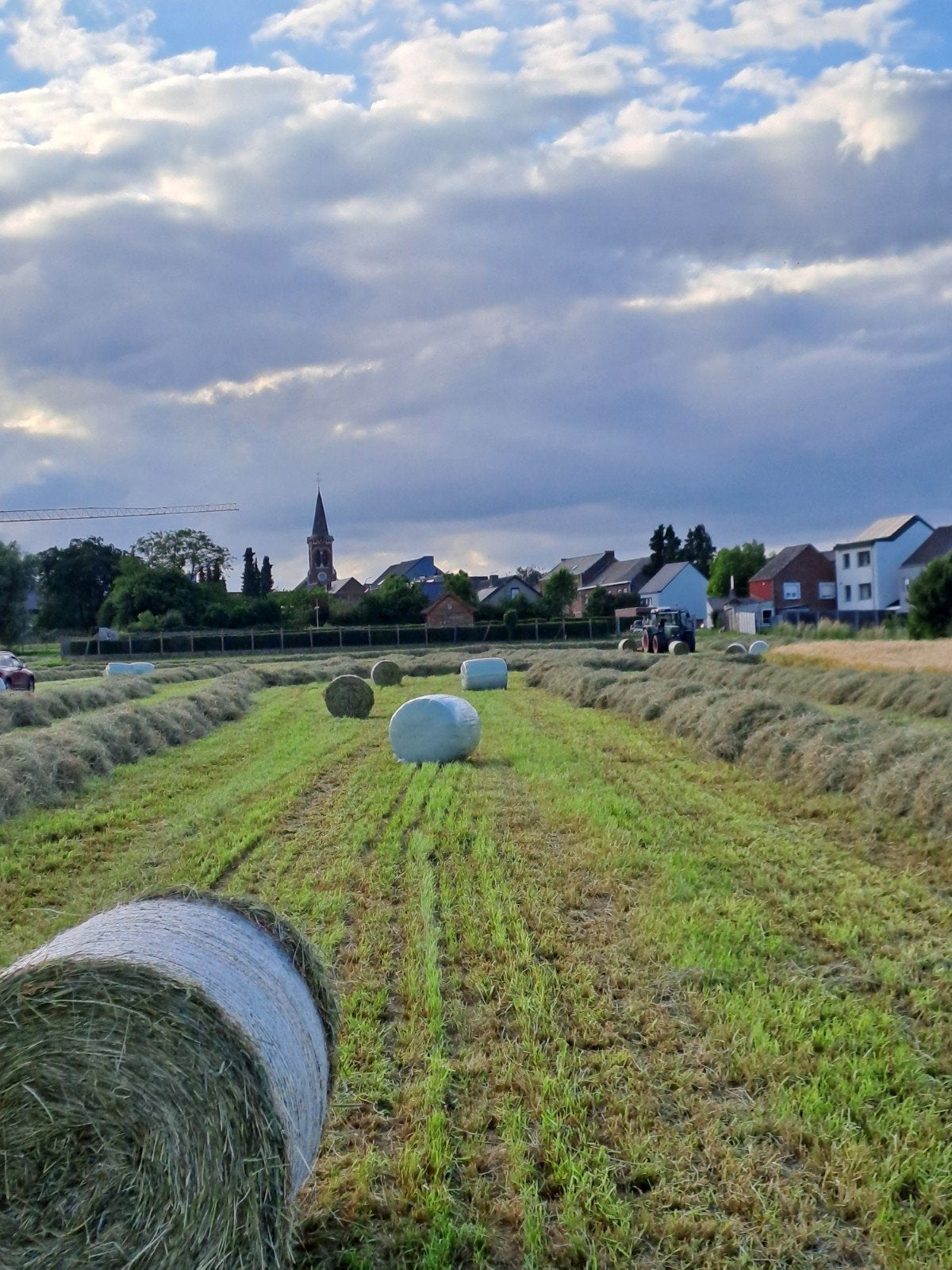 Hooi in kleine pakjes of midibalen met of zonder plastiek