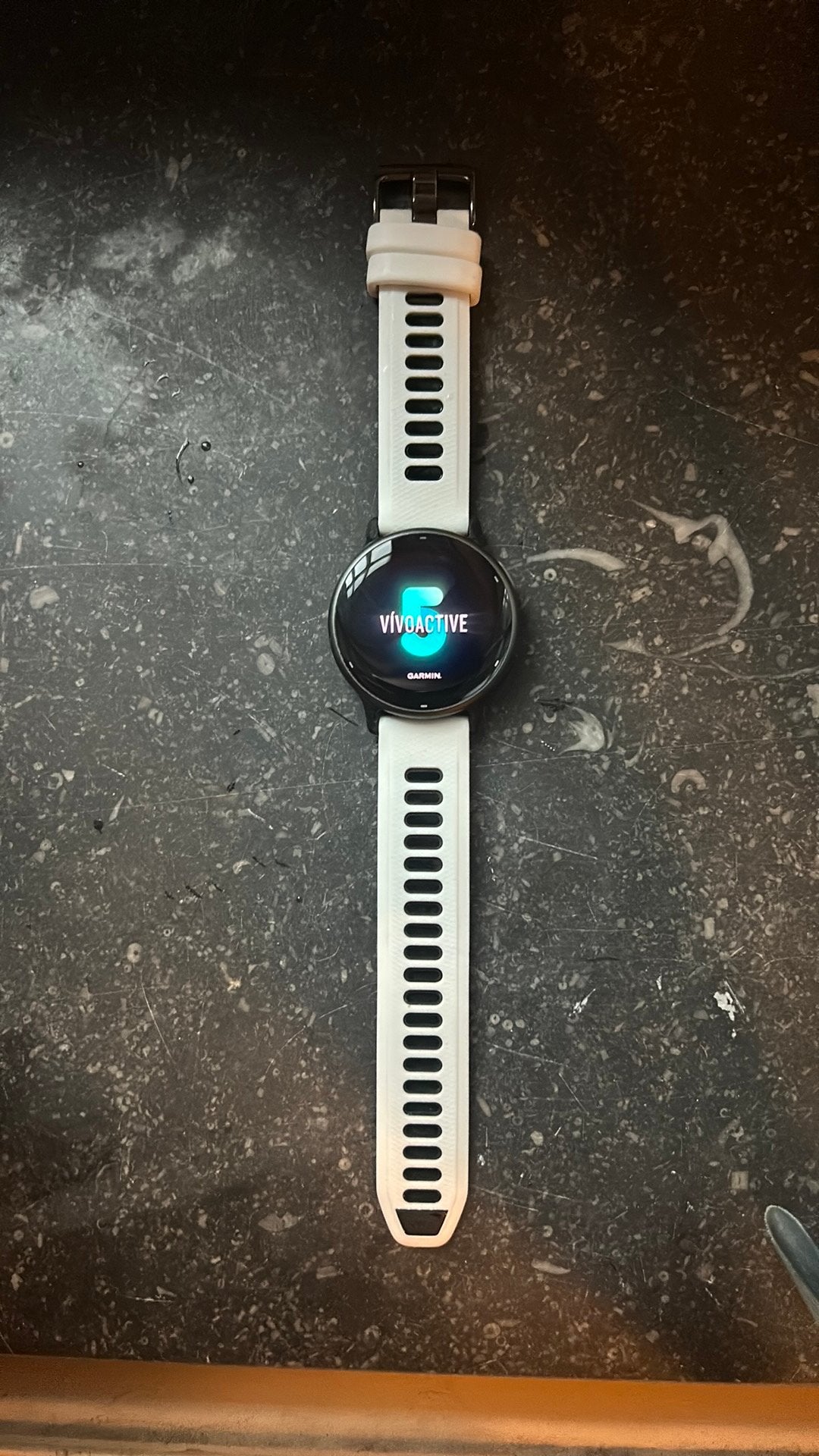 Garmin Vivoactive 5, Bijoux, Sacs & Beauté, Montres connectées, Enlèvement, Comme neuf