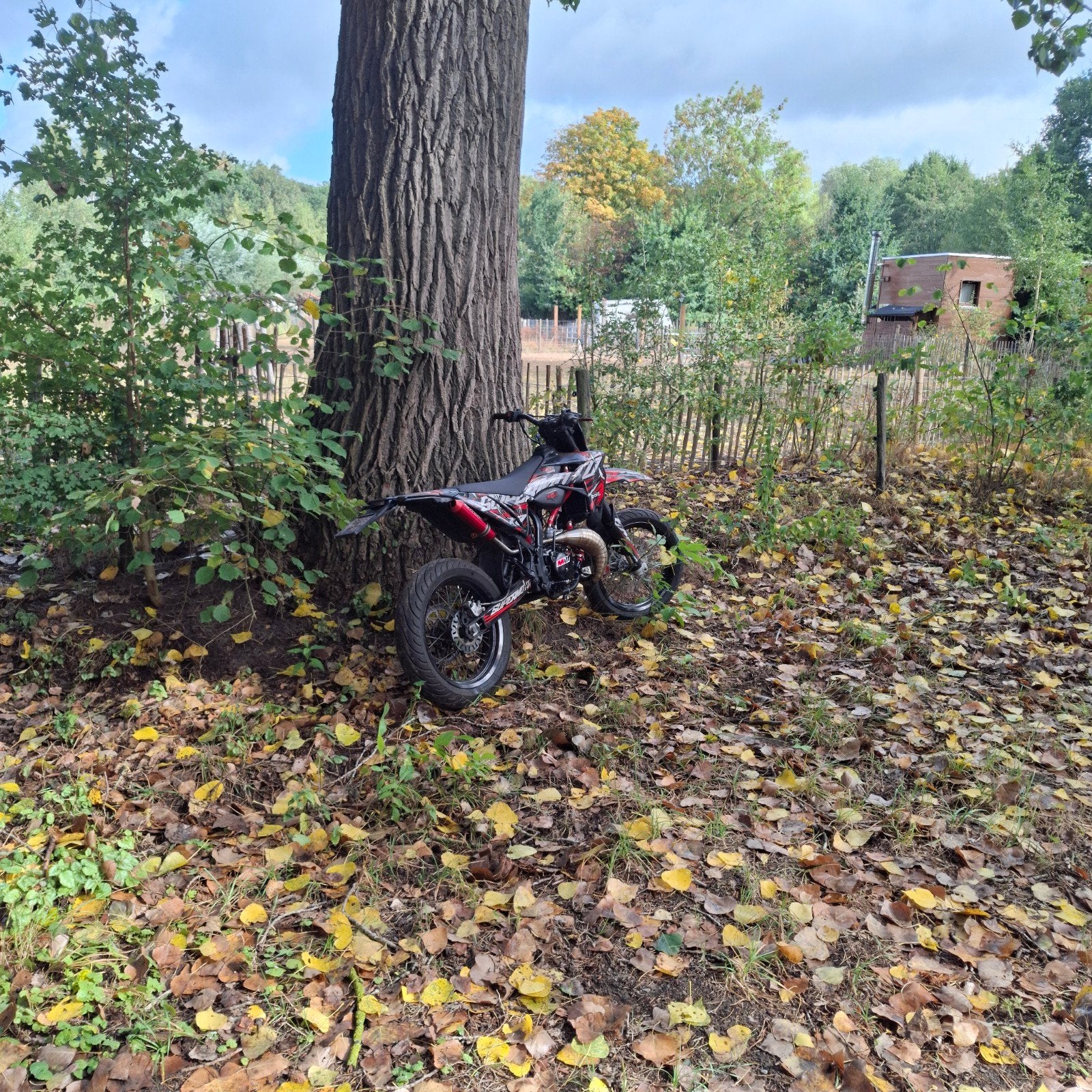 sherco sm rs 50 italkit, Autres marques, Comme neuf, 6 vitesses, Enlèvement
