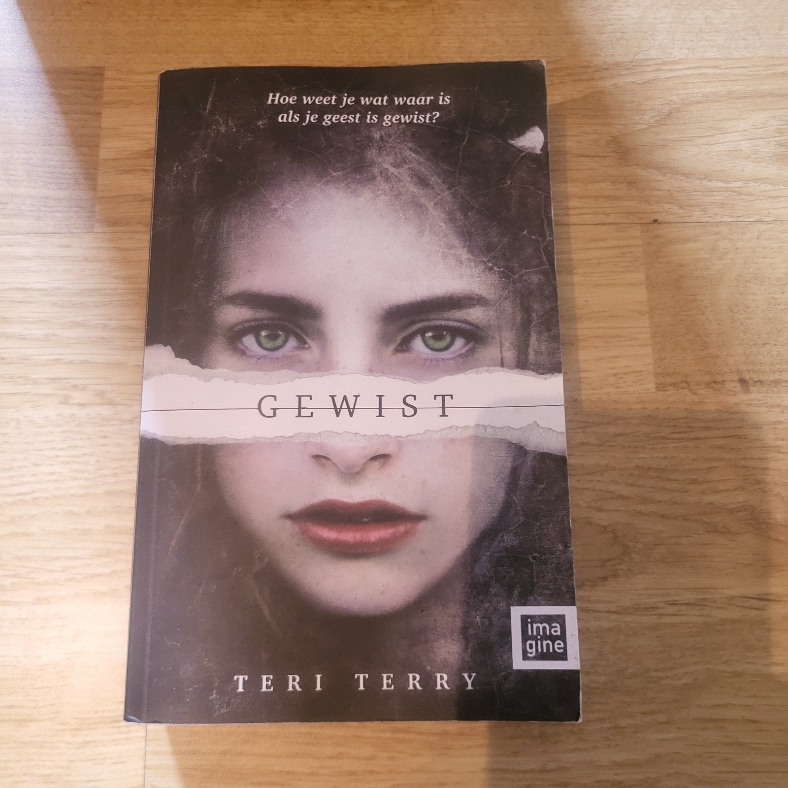 Teri Terry - Gewist, Livres, Livres pour enfants | Jeunesse | 13 ans et plus, Enlèvement, Teri Terry