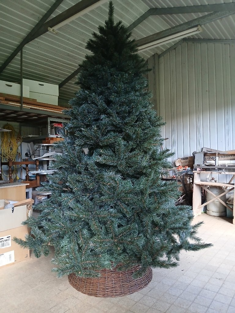 kerstboom 230 cm Triumph met mand, Diversen, Ophalen, Zo goed als nieuw