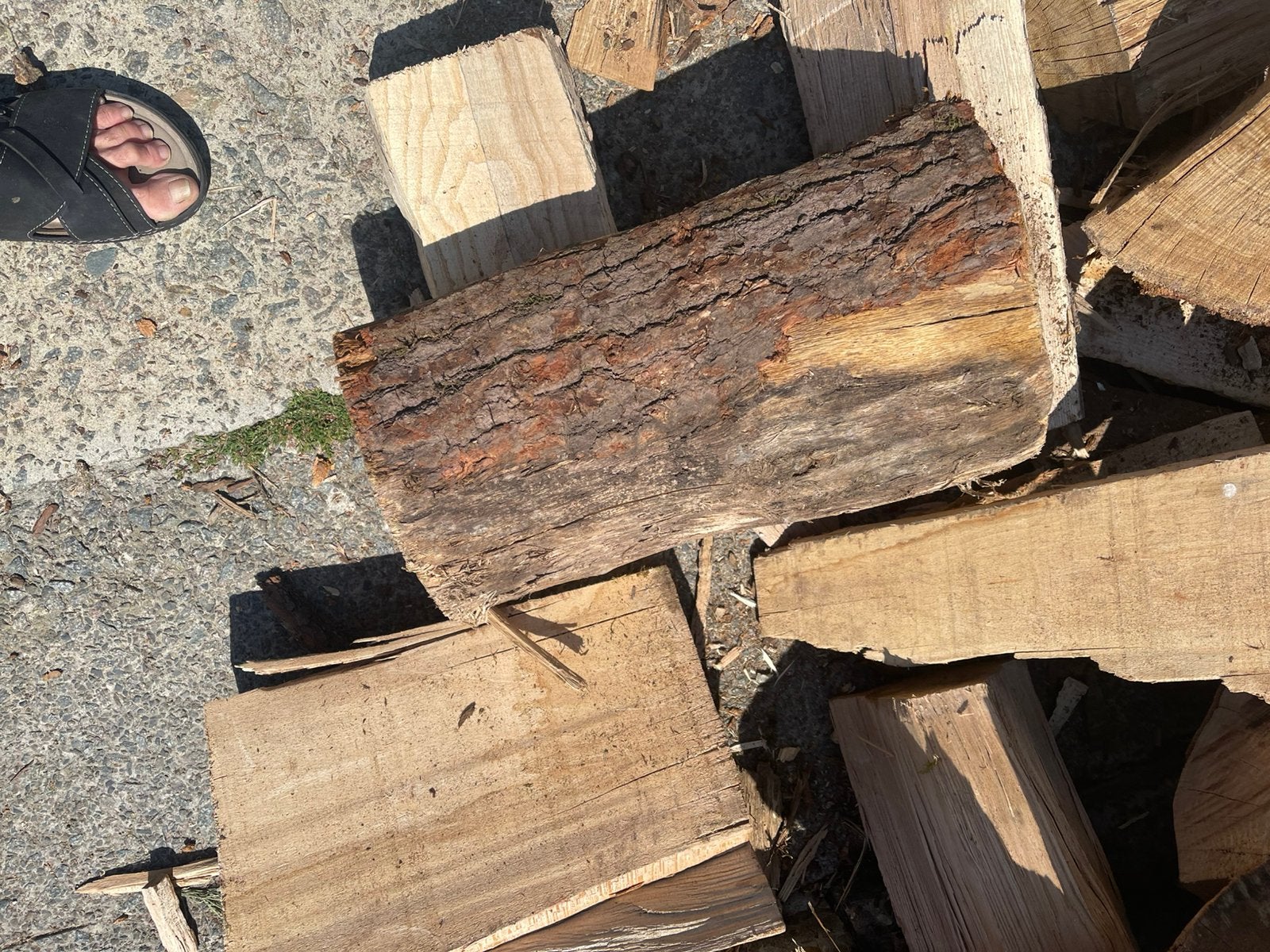 EIKEN en BEUKEN, 6 m³ of meer, Ophalen of Verzenden, Beukenhout, Blokken