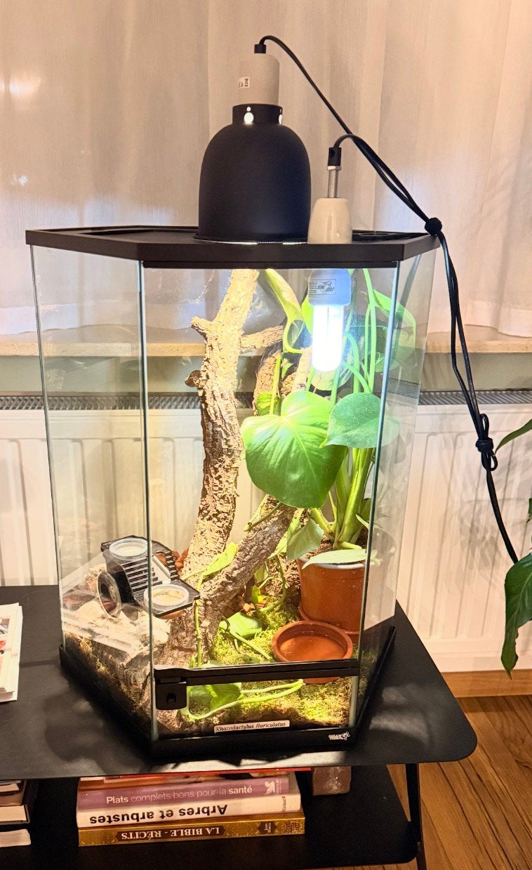 Terrarium complet lampe chauffante- uv et deco, Enlèvement, Comme neuf, Terrarium ou Paludarium