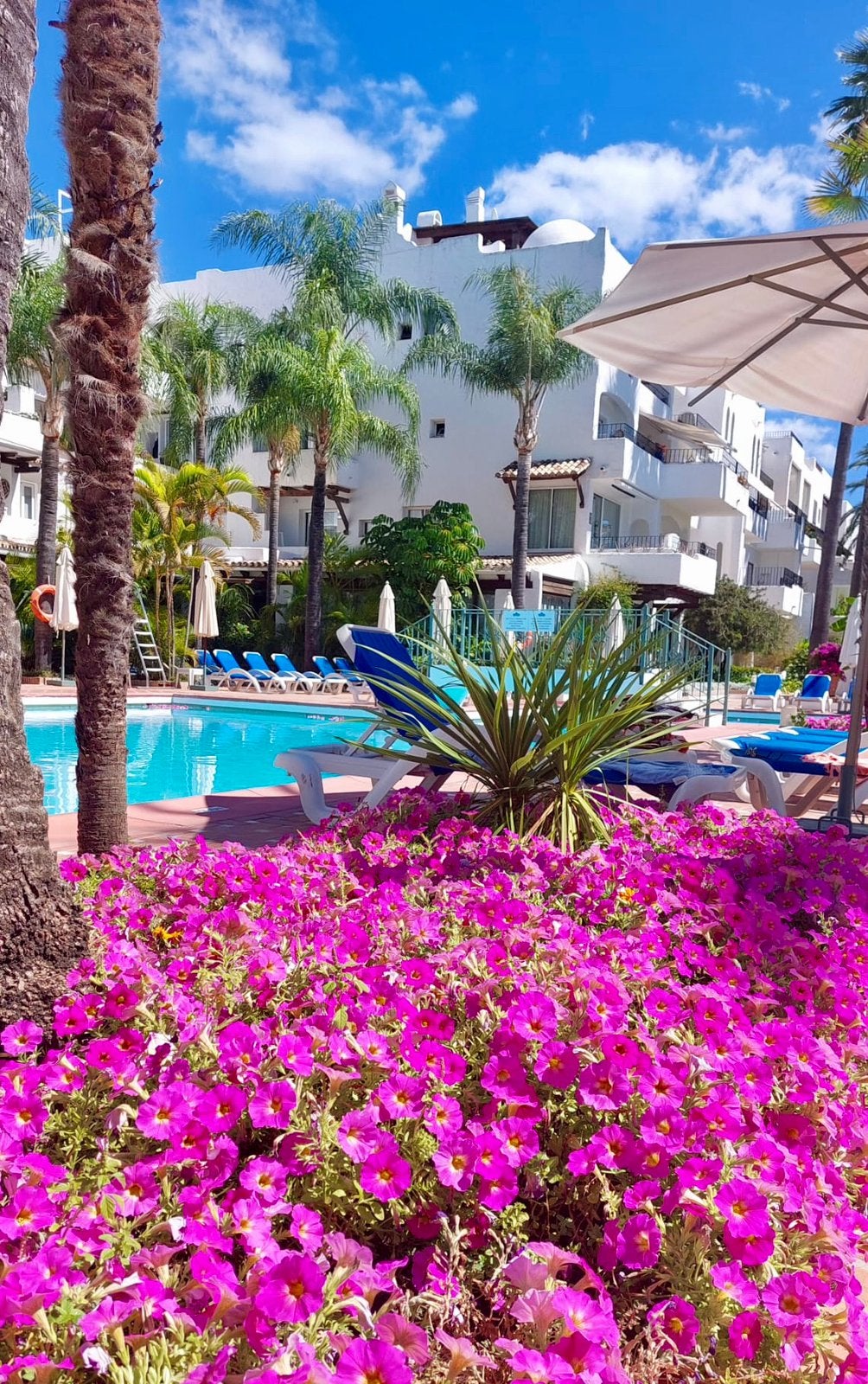 MARBELLA winter = warm weer en veel zon, Vakantie, Open haard, Appartement, Costa del Sol, 1 slaapkamer