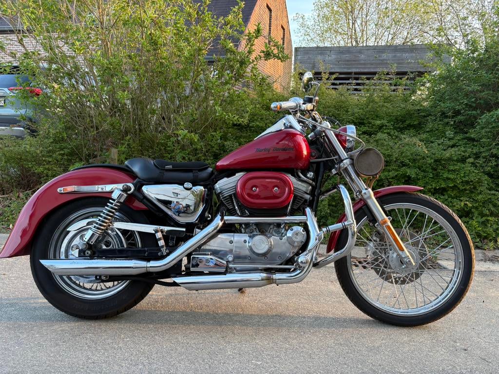 Magnifique Harley Sportster Hugger 883, Motos, Occasion, Chopper, 2 cylindres, Particulier