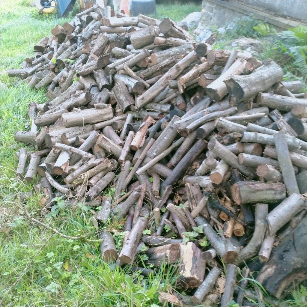 vente de bois coupé à +- 35 cm, Jardin & Terrasse, 3 à 6 m³, Enlèvement, Autres essences de bois, Bûches