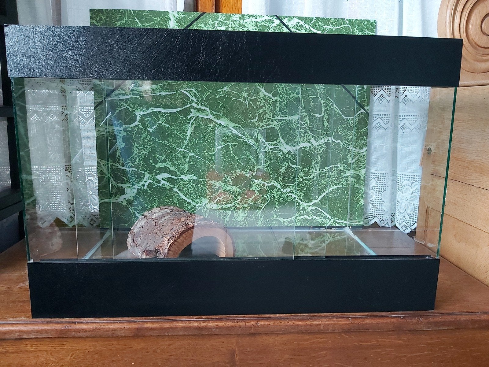Terrarium, Animaux & Accessoires, Enlèvement