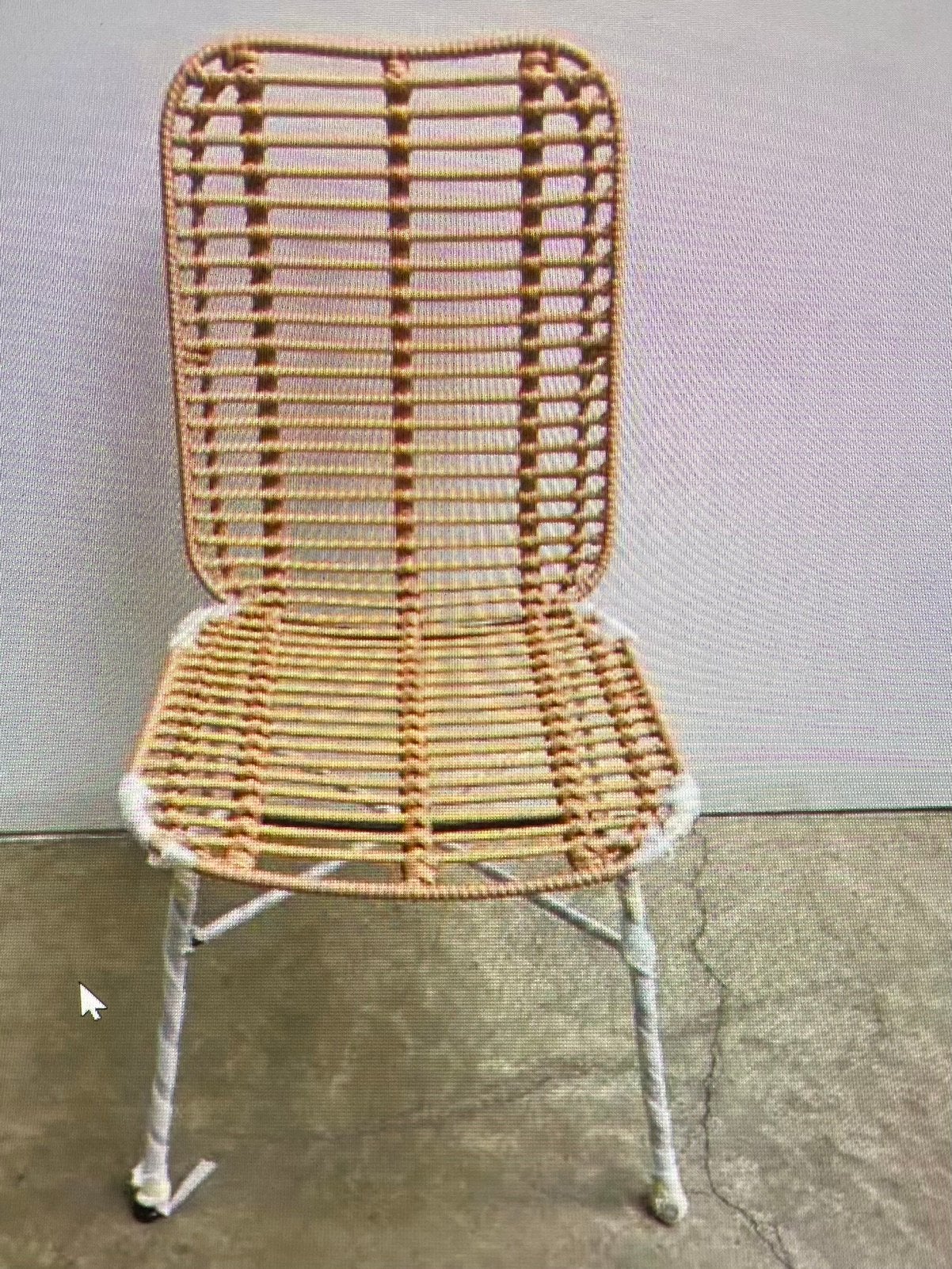 Tuinstoelen Flexfurn model Palm, Maison & Meubles, Chaises, Enlèvement, Neuf, Osier ou Rotin, Cinq, Six Chaises ou plus