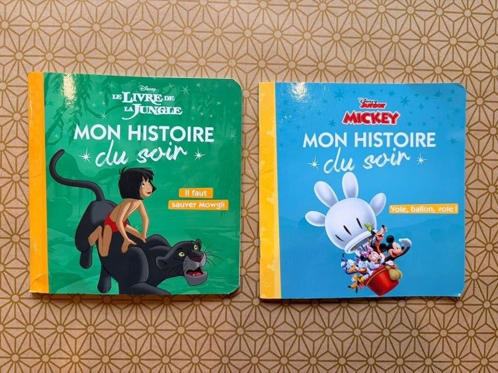 Lot de 2 livres Disney — Le Livre de la jungle et Mickey, Enlèvement, Utilisé, Fiction général