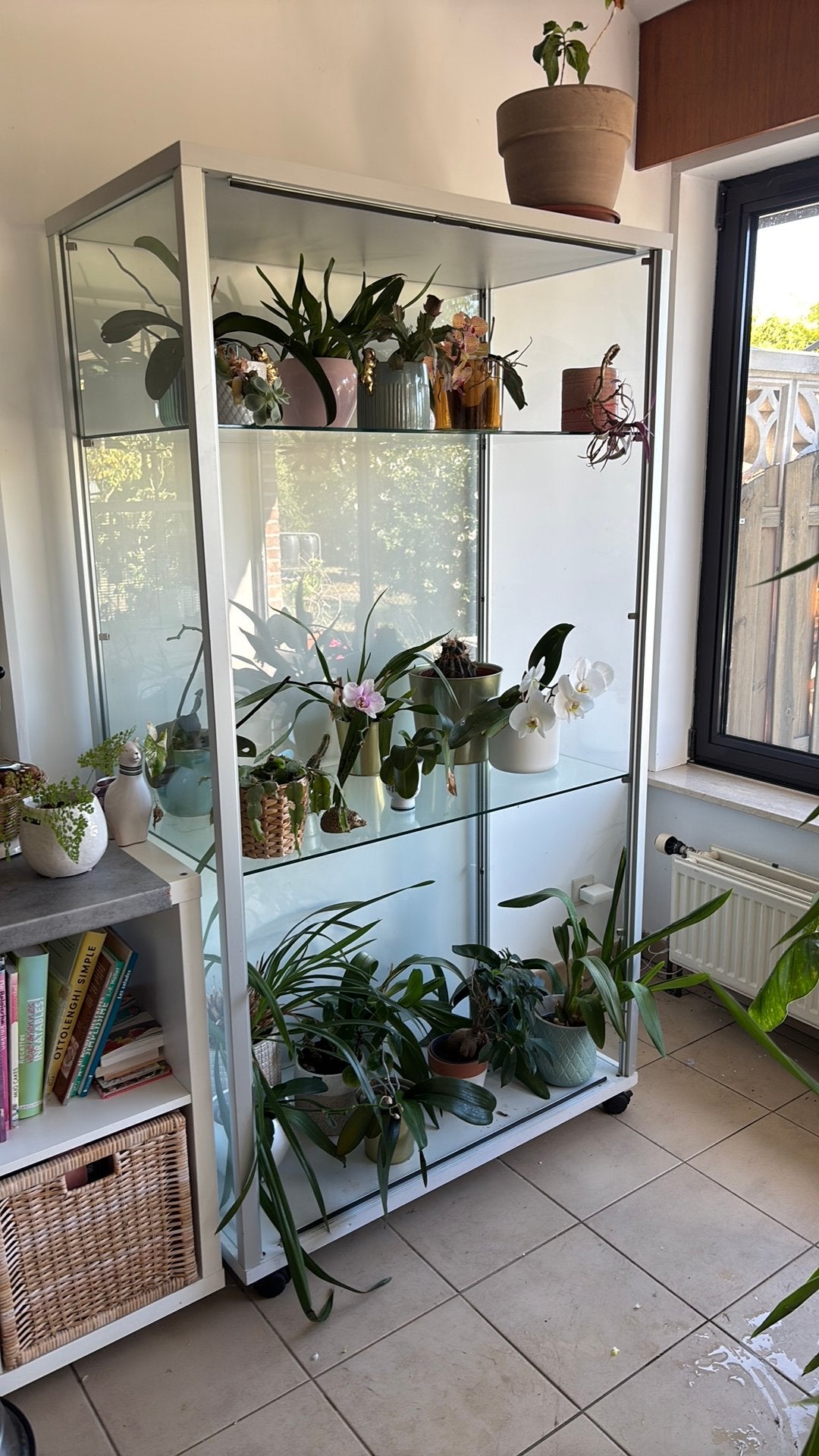 Vitrine kast op wieltjes / vitrine sur roulettes gratis, Ophalen, Glas, 50 tot 100 cm, 150 tot 200 cm