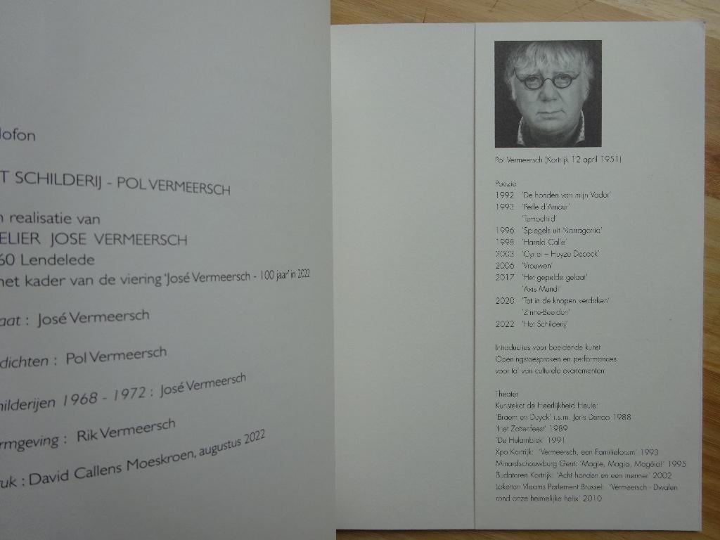 Pol Vermeersch, 2022, Het schilderij / José Vermeersch, Enlèvement ou Envoi, Neuf, Peinture et dessin