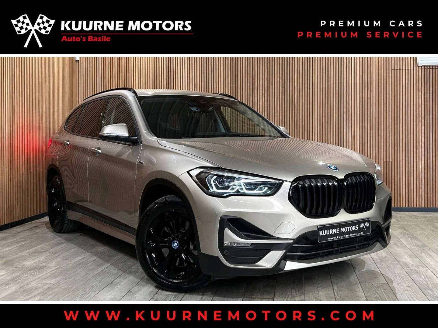 BMW X1 xDrive25e Led/Leder/Hud/GpsPro/Cam/Keyless/VerwZet *1, Argent ou Gris, Achat, Entreprise, Alarme