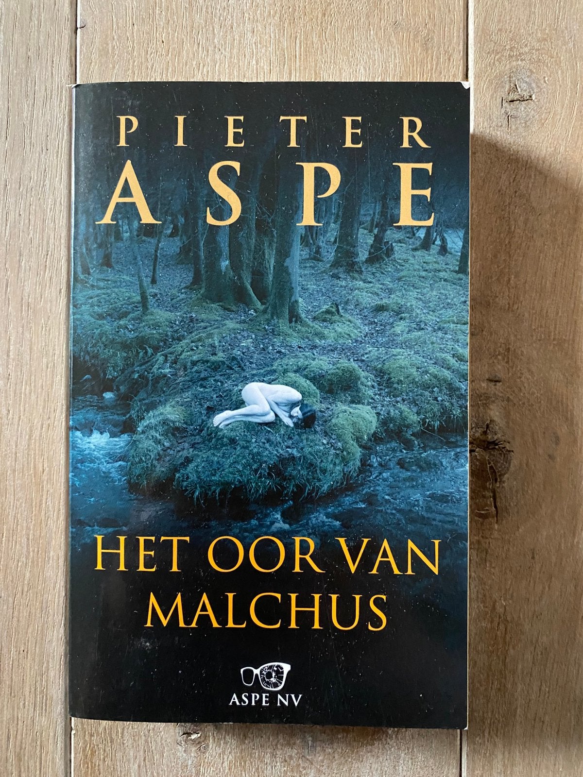 Boek Pieter Aspe, Ophalen of Verzenden, Zo goed als nieuw