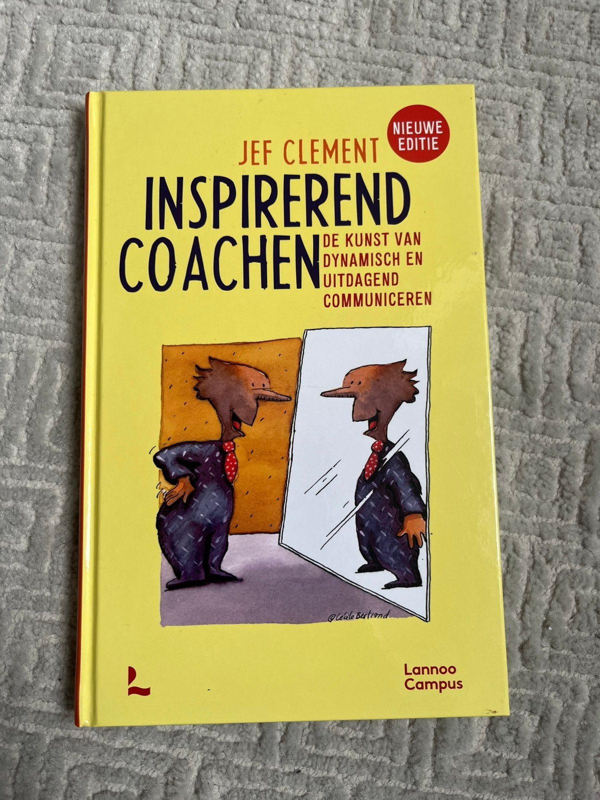 Boek: Kleuteronderwijs, Ophalen of Verzenden, Zo goed als nieuw