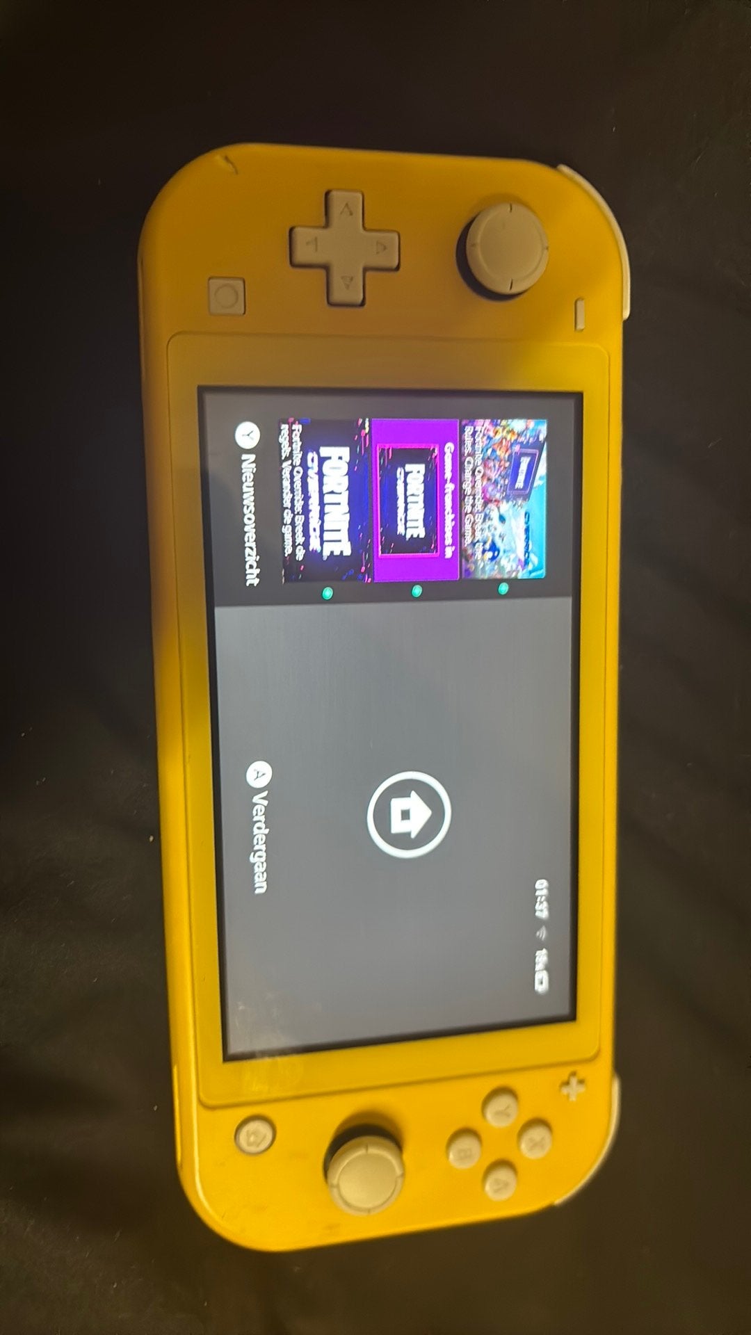 Nintendo, Games en Spelcomputers, Spelcomputers | Nintendo Switch Lite, Ophalen, Zo goed als nieuw
