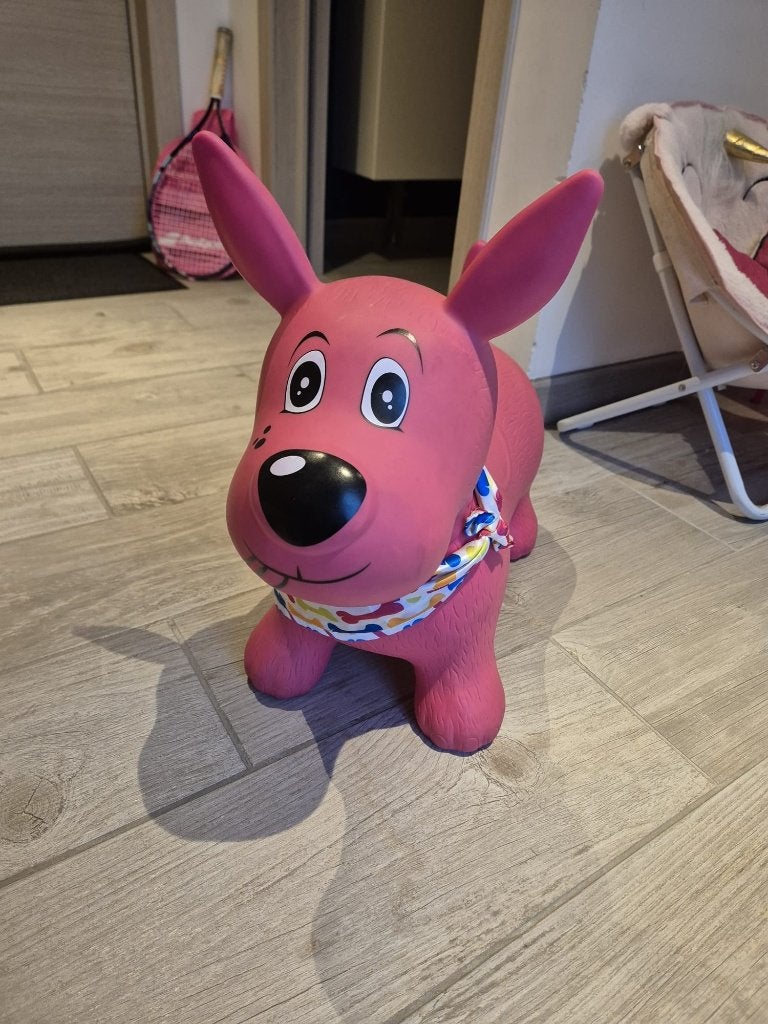 Jouet chien sauteur, Kinderen en Baby's, Speelgoed | Overig, Ophalen, Nieuw, Jongen of Meisje