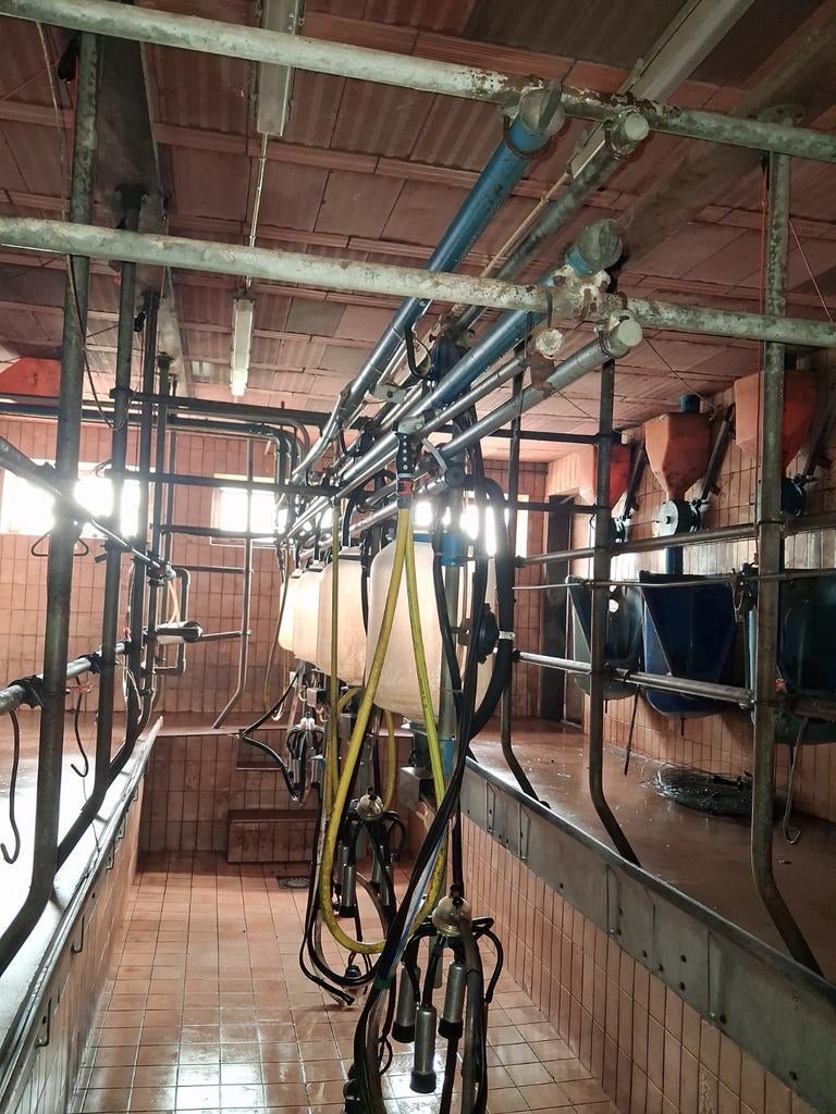 Melkinstalatie, Zakelijke goederen, Landbouw | Werktuigen, Veehouderij, Melktechniek, Ophalen