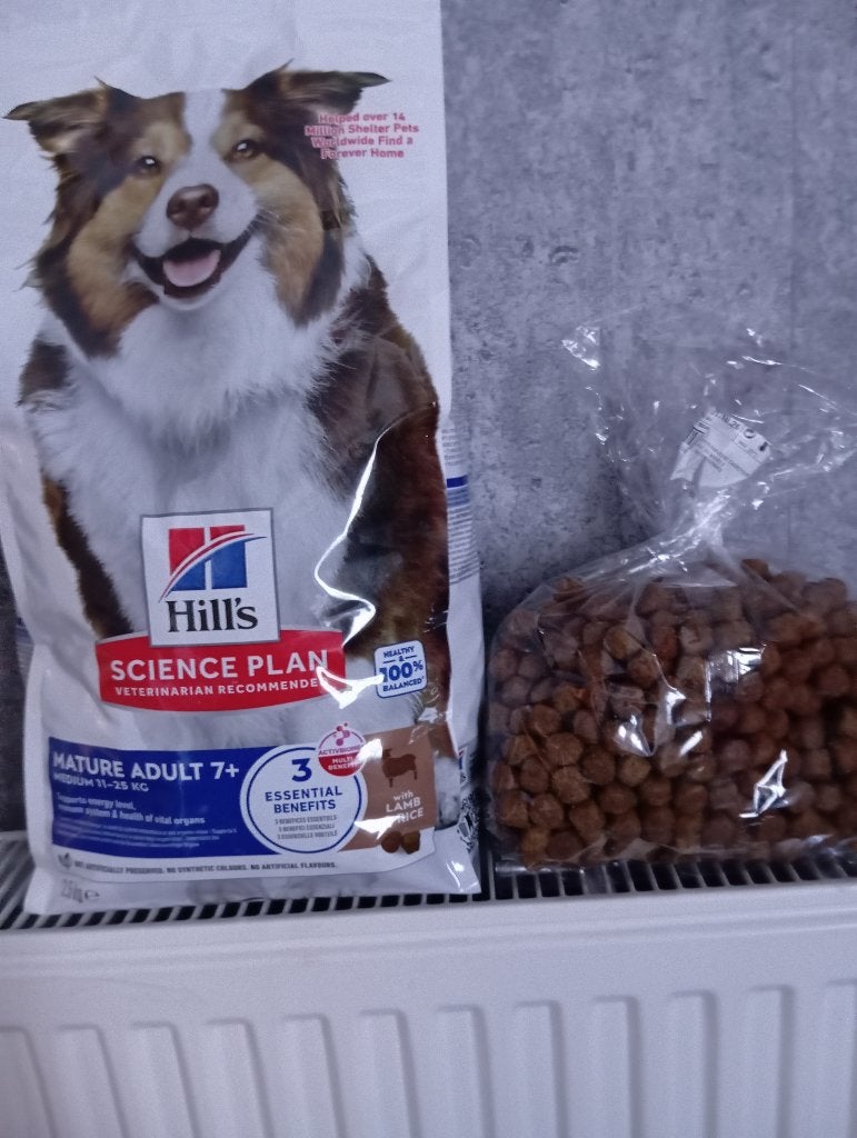 Croquettes chien, Enlèvement, Chien