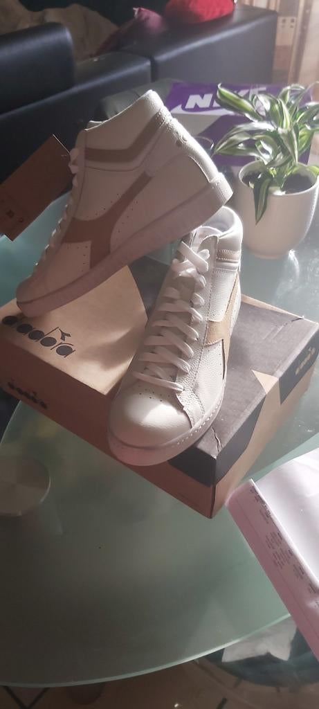 Diadora old skool, Enlèvement