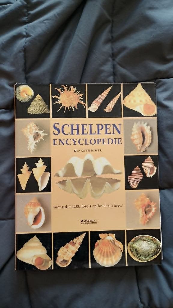 geïllustreerde schelpen encyclopedie, Boeken, Encyclopedieën, Zo goed als nieuw, Ophalen of Verzenden
