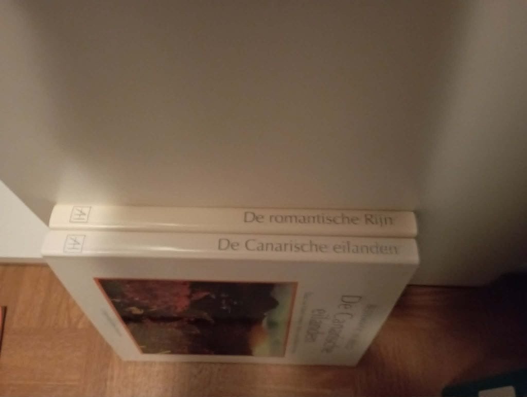 De Romantische Rijn / De Canarische Eilanden/ Artis Historia, Ophalen, Zo goed als nieuw, Prentenboek