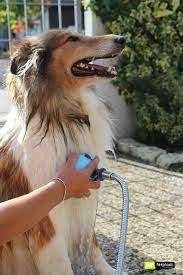 Dog Shower - van Ferplast Nieuw in verpakking., Ferplast, Ophalen of Verzenden, Nieuw, Overige typen