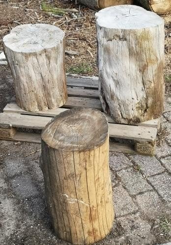 gezocht boomstam, Ophalen
