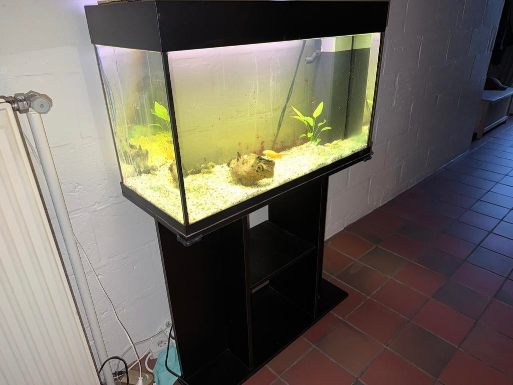 Juwel Aquarium, Enlèvement, Utilisé