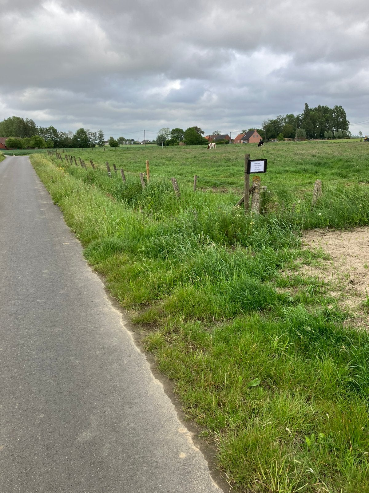 Landbouwgrond / weide in Pittem, Dieren en Toebehoren