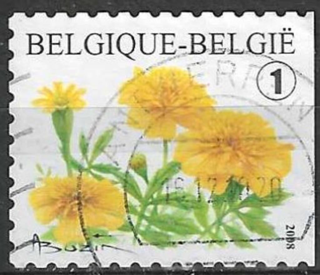 Belgie 2008 - Yvert 3767 /OBP 3785a - Afrikaantje (ST), Postzegels en Munten, Postzegels | Europa | België, Verzenden, Gestempeld
