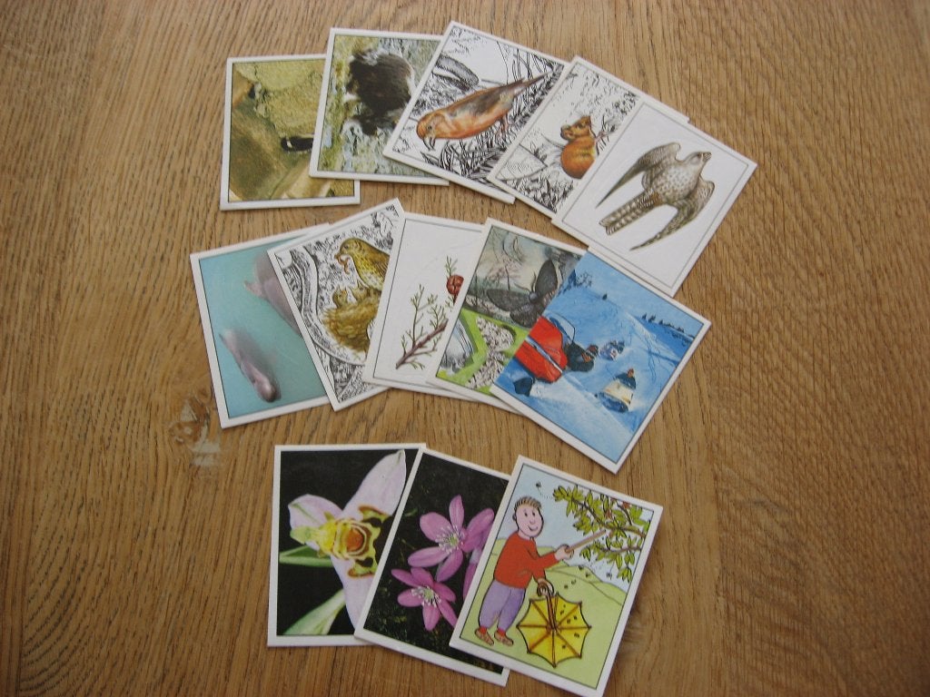 Lot d'autocollants vintage Panini WWF Save Nature, Collections, Autocollants, Enlèvement ou Envoi, Neuf