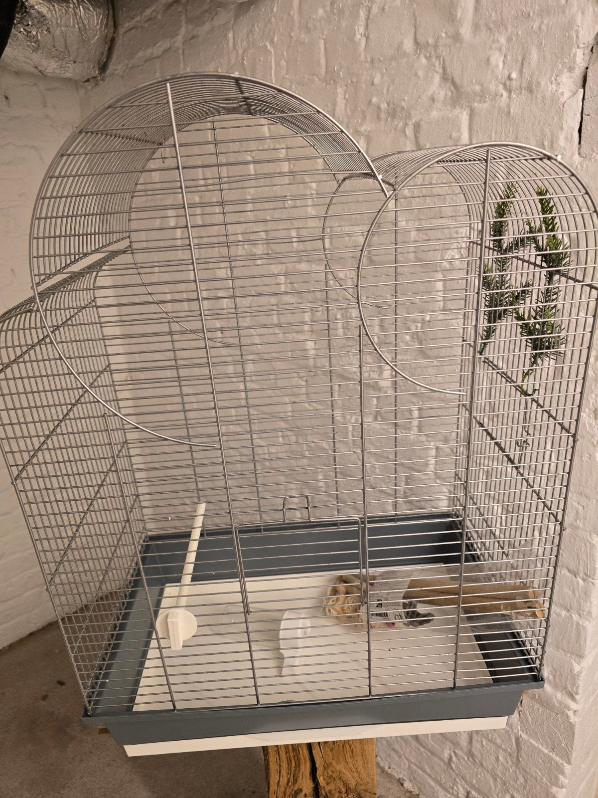 Cage l'oiseau, Enlèvement ou Envoi