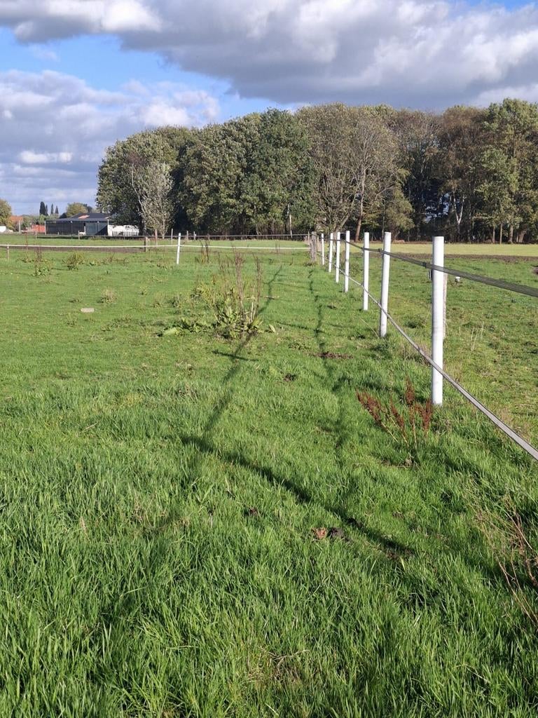 Stalling + weidegang + loopstal met aansluitende paddock, Dieren en Toebehoren, Weidegang
