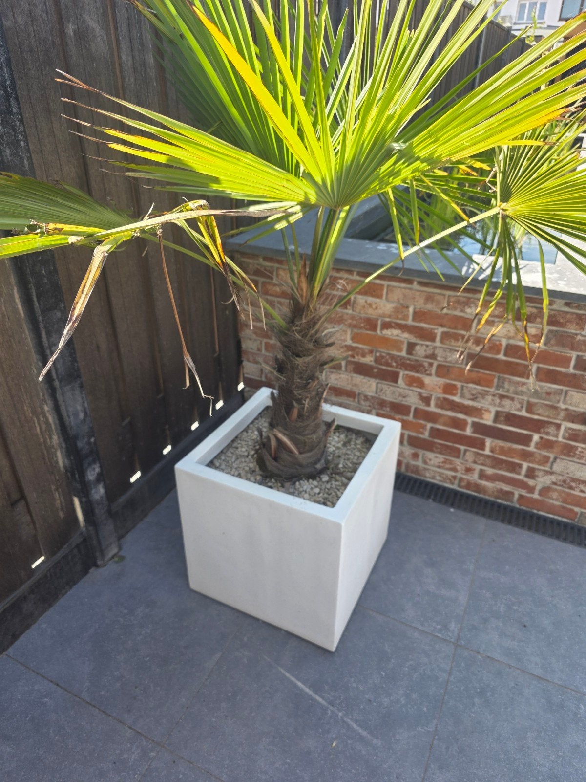Capi europe wit plantenbakken 50x50x50, Ophalen, Kunststof, Minder dan 60 cm, Vierkant