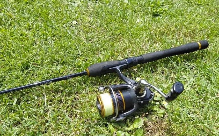canne + moulinet Daiwa, Watersport en Boten, Hengelsport | Algemeen, Ophalen, Nieuw, Molen