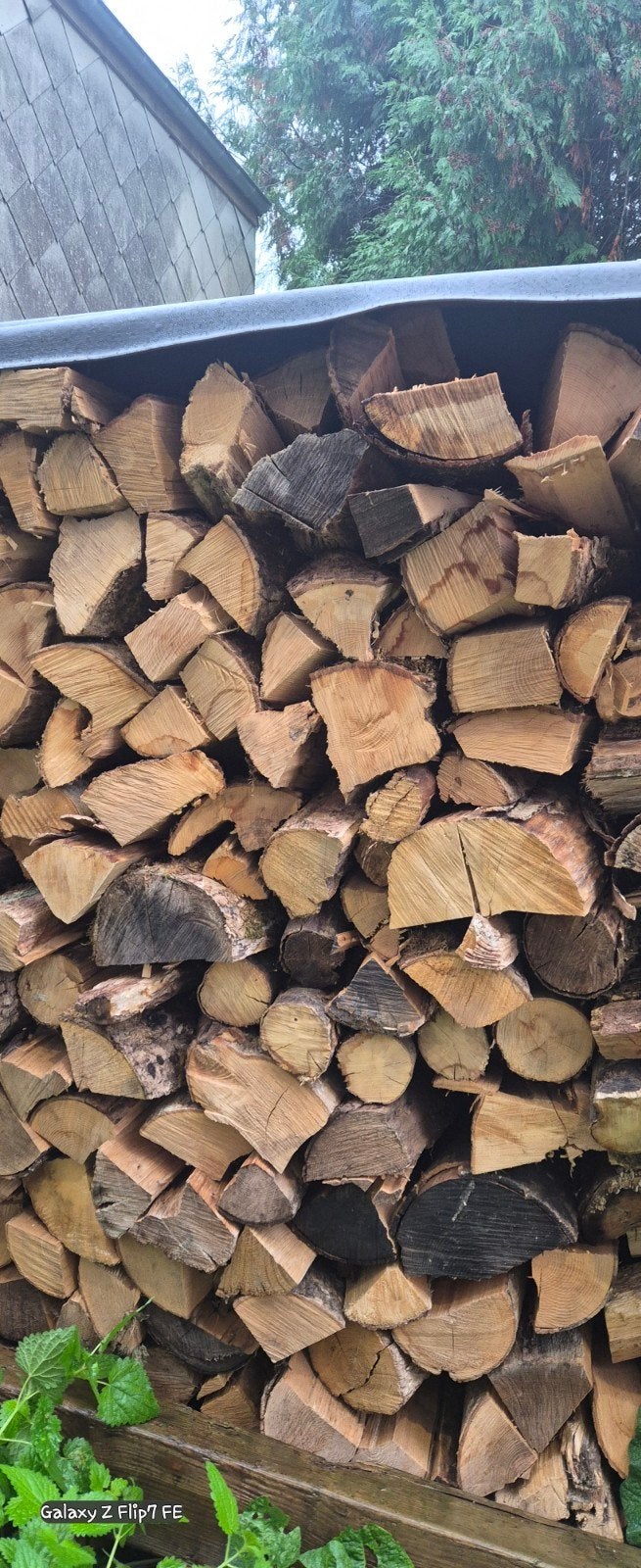 bois de chauffage sec de 2023, 6 m³ of meer, Ophalen of Verzenden, Eikenhout, Blokken