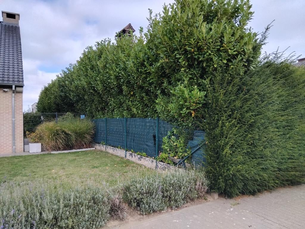 Tuinman beschikbaar, Tuin en Terras, Ophalen
