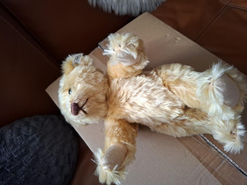 Steiff verzamelbeer mohair met knop in het oor, Ophalen of Verzenden