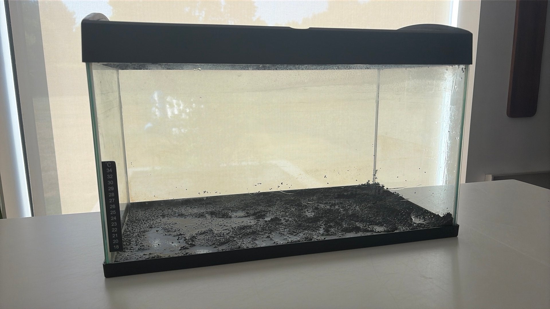 Aquarium 60 liter, Dieren en Toebehoren, Ophalen, Gebruikt, Pomp, Overige merken