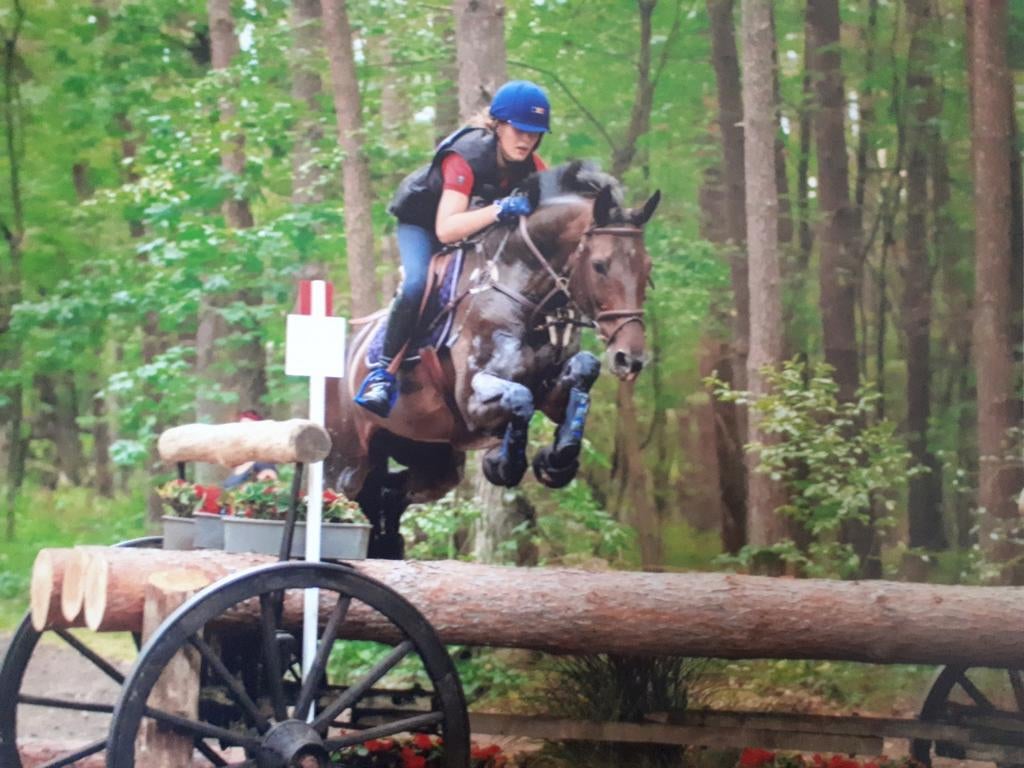 Mooie fokmerrie, Dieren en Toebehoren, Ophalen