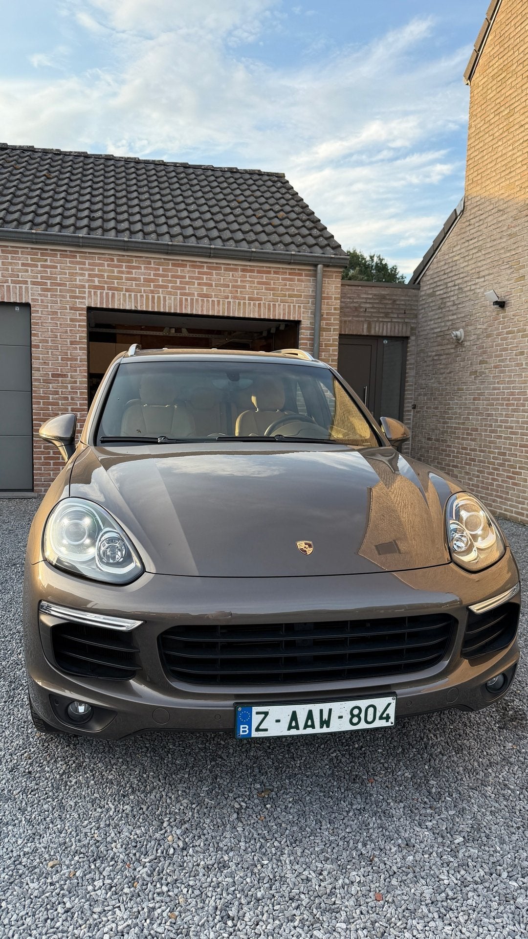 Porsche Cayenne S E-Hybrid, Autos, Cuir, Achat, Euro 6, Entreprise