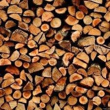 Bois de chauffage - coupe écologique et locale, Moins de 3 m³, Enlèvement, Autres essences de bois, Bûches