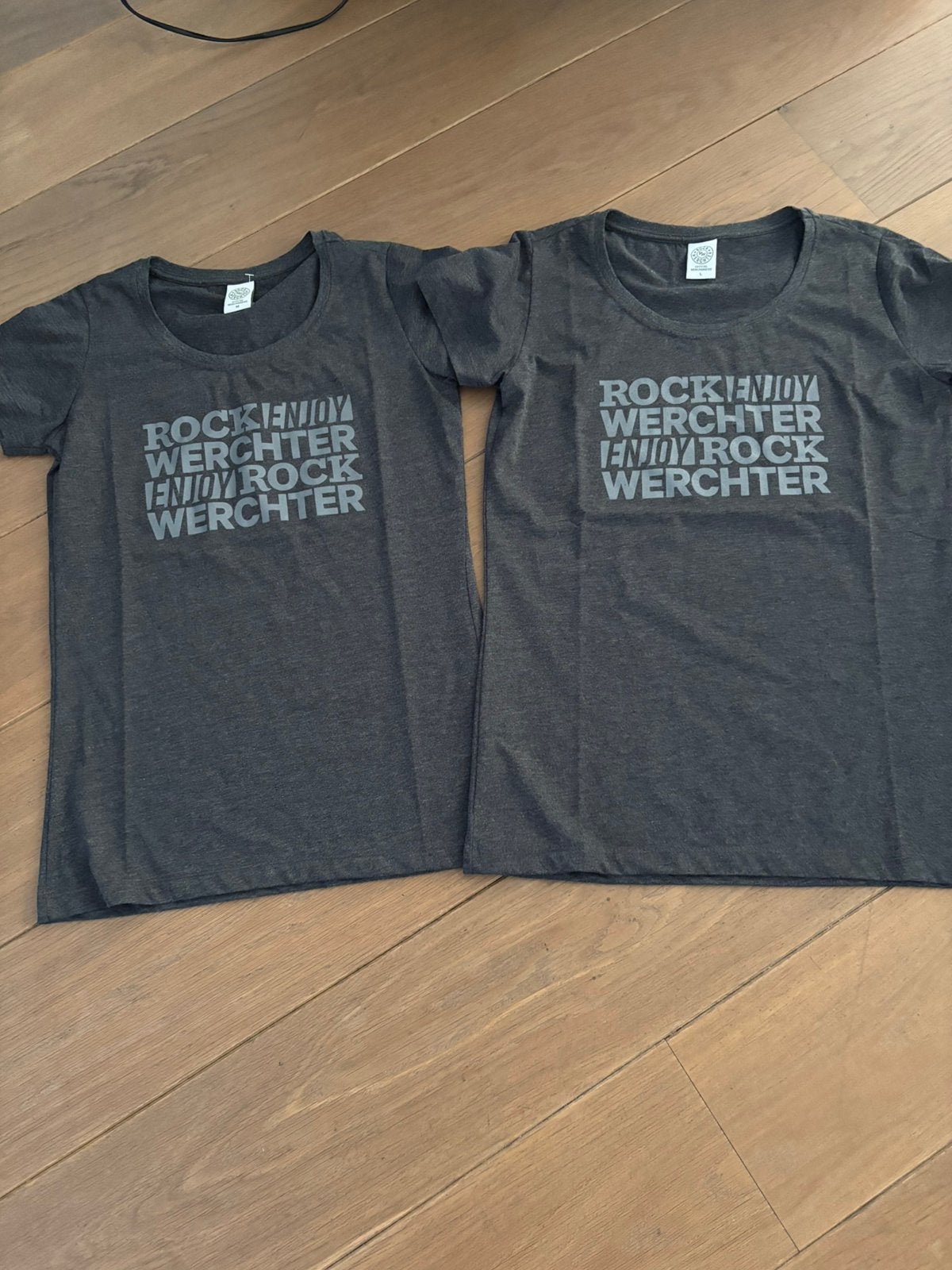 2 t shirts maat M en L Rock Werchter, Kleding | Dames, Ophalen of Verzenden, Nieuw, Maat 38/40 (M)