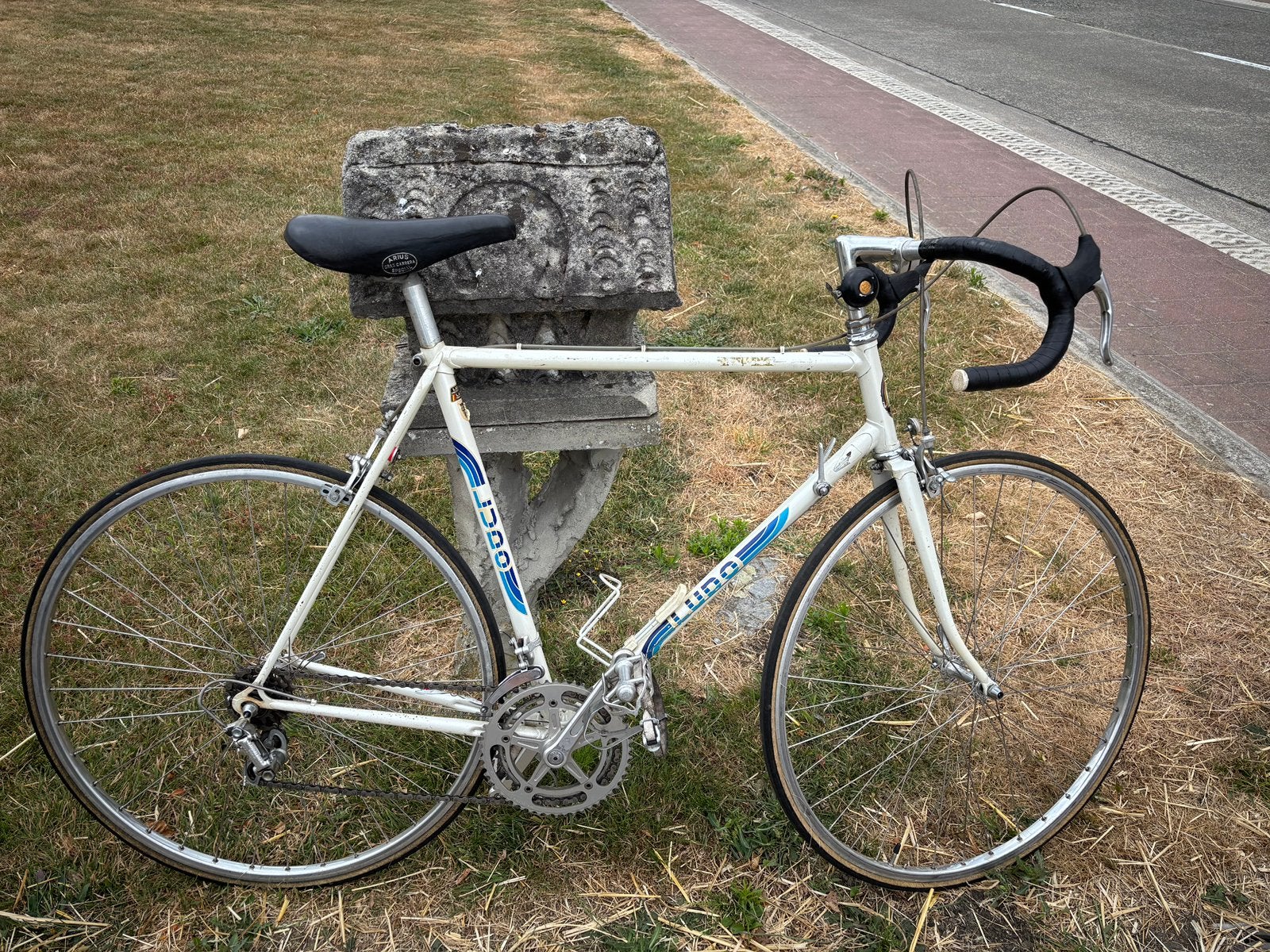 Ludo excellence retro Campagnolo, Fietsen en Brommers, 28 inch, Gebruikt, 53 tot 57 cm, Ophalen