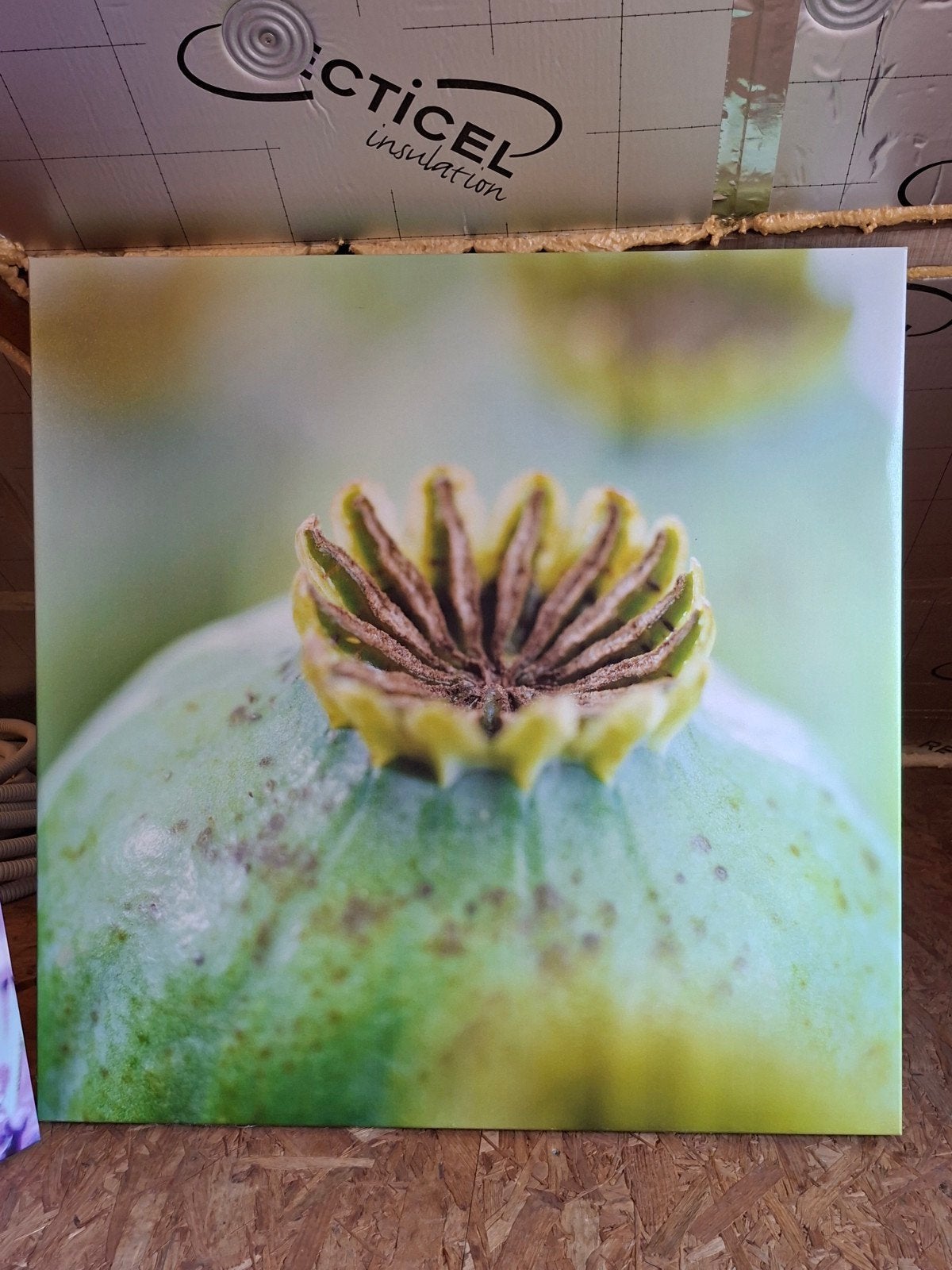 canvas, Ophalen