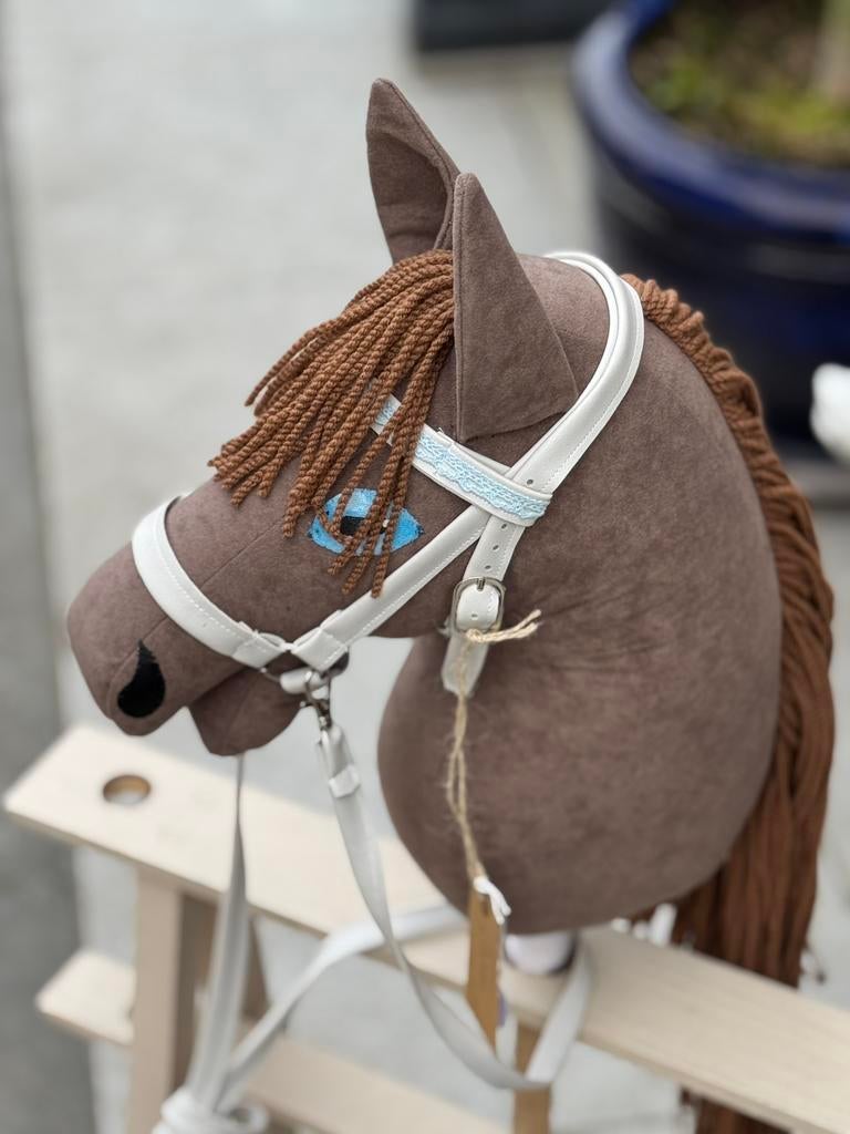 Cassi is een hobby horse, Hobby en Vrije tijd, Ophalen