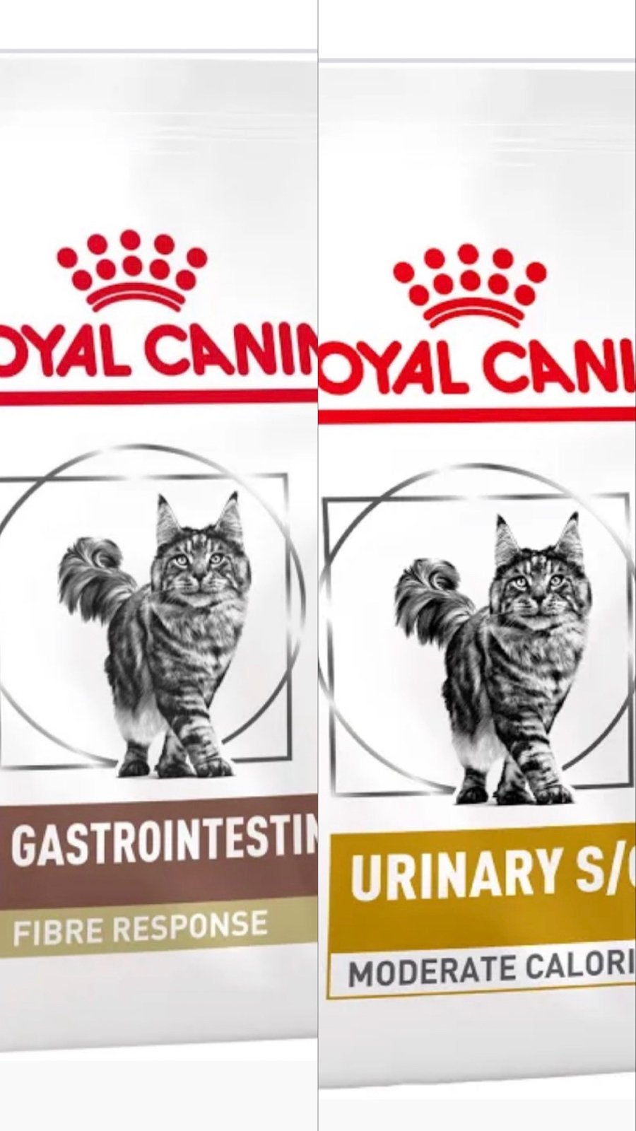 Kattenvoer royal canin, Dieren en Toebehoren, Dierenvoeding, Ophalen, Kat