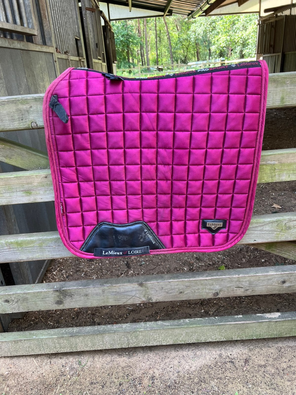 Le mieux loire dressuur dekje, Dieren en Toebehoren, Ophalen, Zo goed als nieuw
