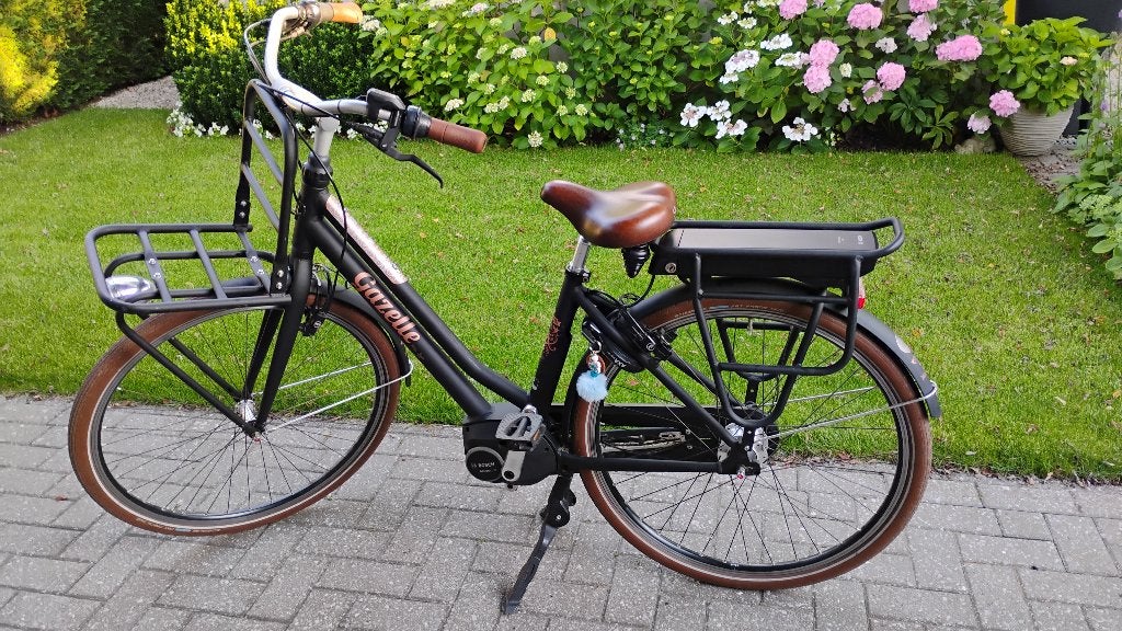 Elektrische damesfiets, Fietsen en Brommers, Ophalen, Gebruikt, Minder dan 47 cm, 50 km per accu of meer